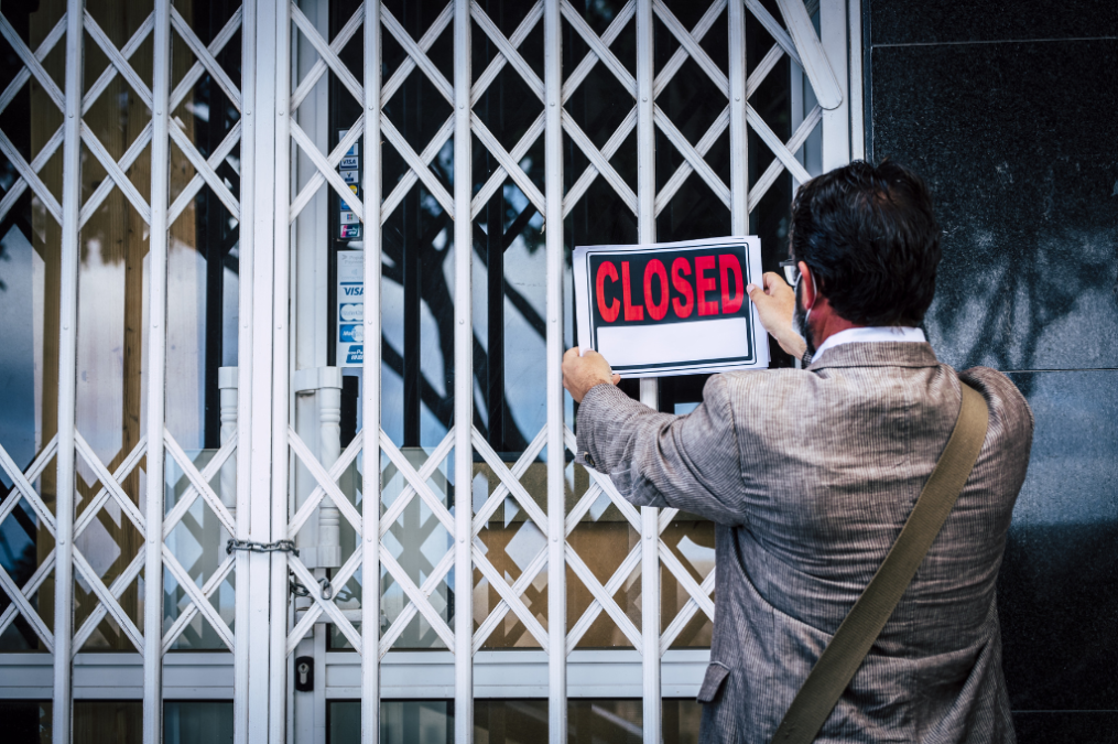 likwidacja spółki zoo